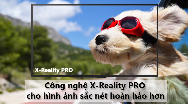 vi-vn-x-reality-pro