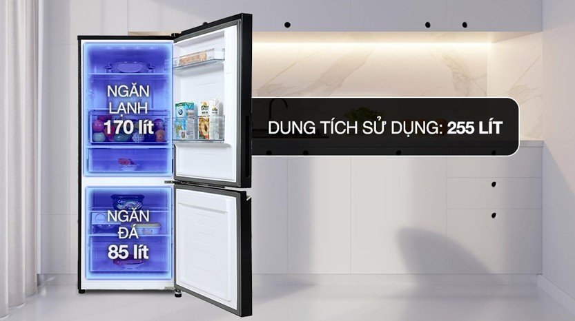 dung-tich-tu-lanh-panasonic-nr-sp275cpsv-255-lit